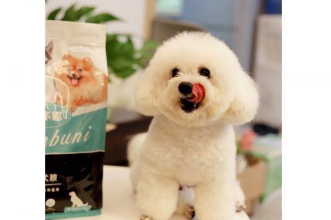 馋不腻宠物食品品牌营销案例