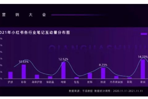 小红书内容营销3.0趋势拆解+新锐品牌增长案例