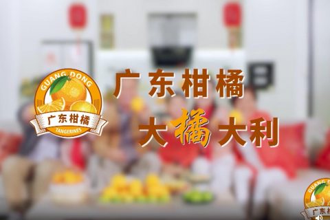 广东柑橘电视广告案例