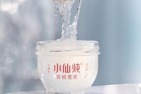 小仙炖搜索营销案例