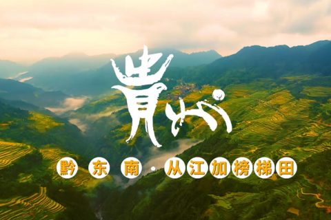 贵州形象央视广告投放案例